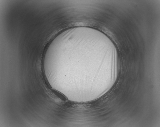 X0000075350297200610061728