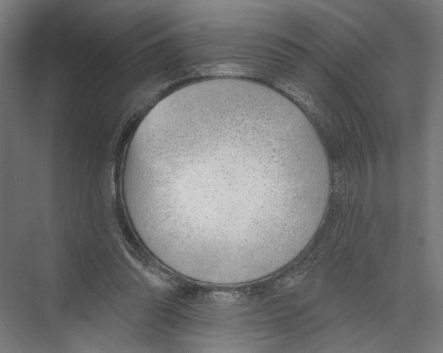 X0000075350302200610061728