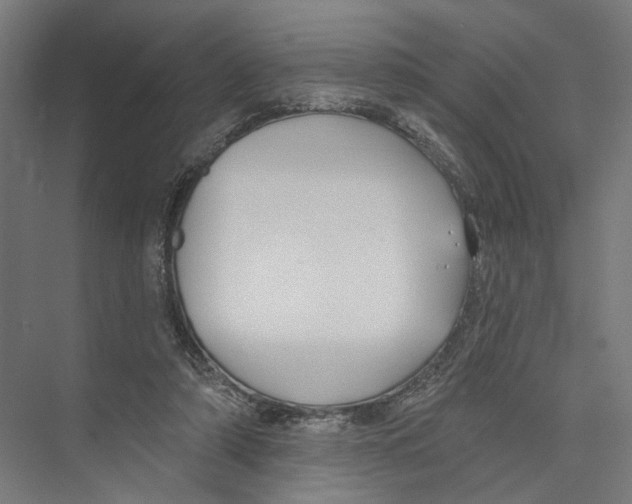 X0000075350306200610061728