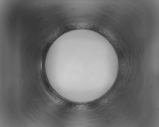 X0000075350310200610061728