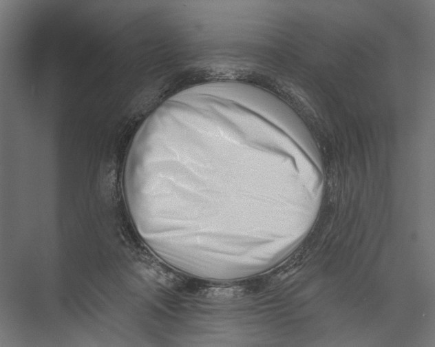 X0000075350314200610061728