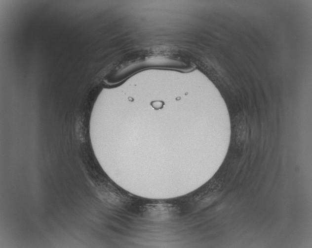 X0000075350316200610061727