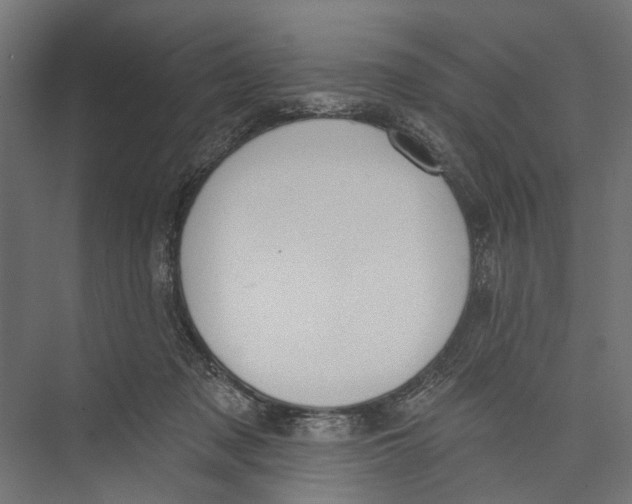 X0000075350317200610061727