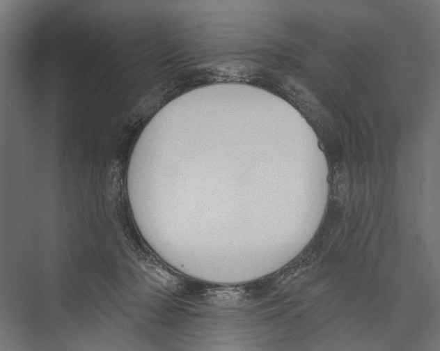 X0000075350318200610061727