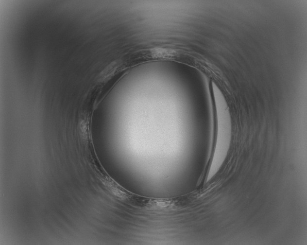 X0000075350329200610061727