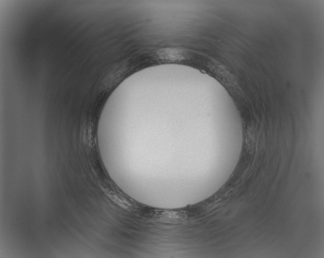 X0000075350330200610061727