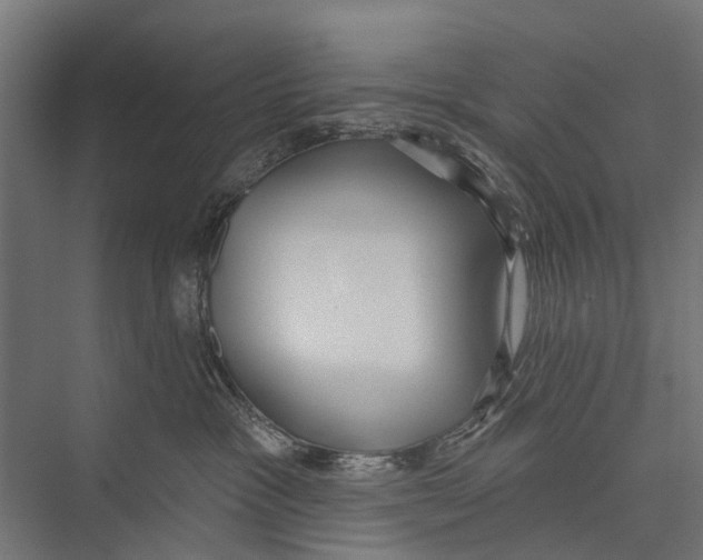 X0000075350333200610061727