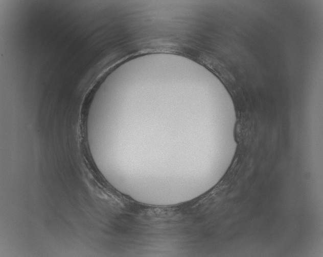 X0000075350338200610061726
