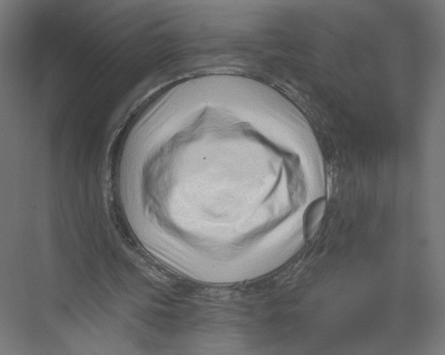 X0000075350339200610061726