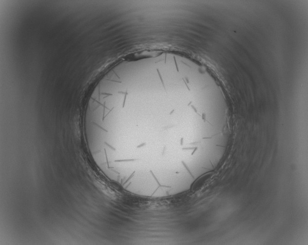 X0000075350345200610061726
