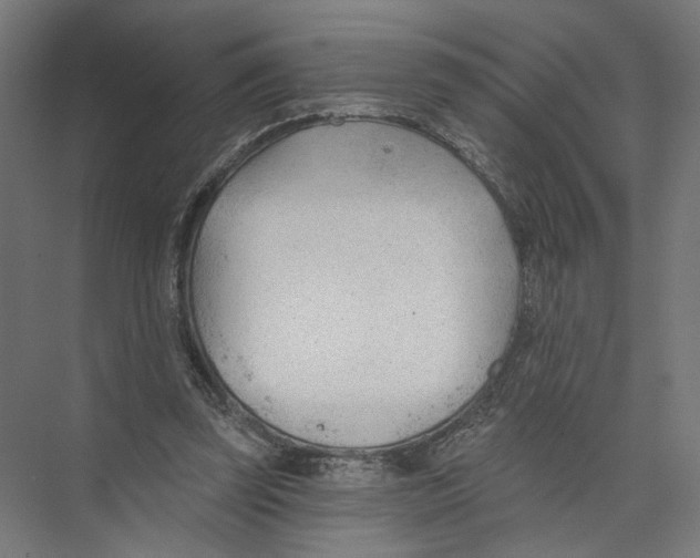 X0000075350347200610061727