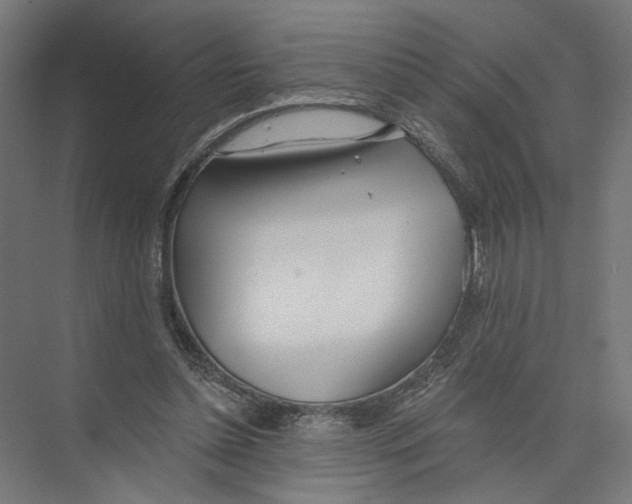 X0000075350348200610061727