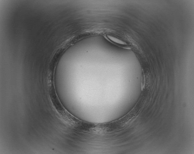 X0000075350356200610061727