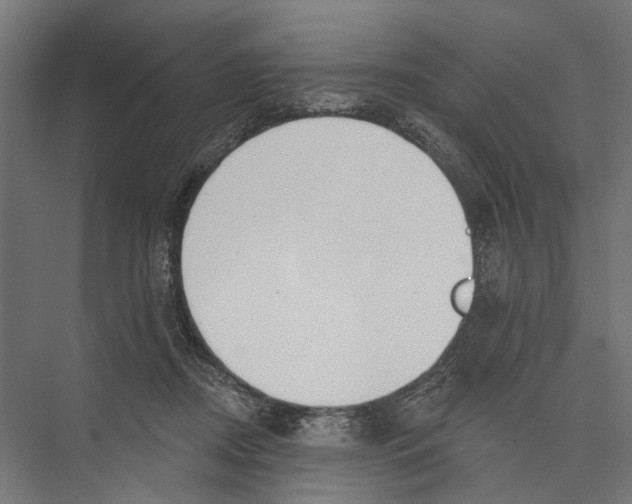 X0000075350362200610061727