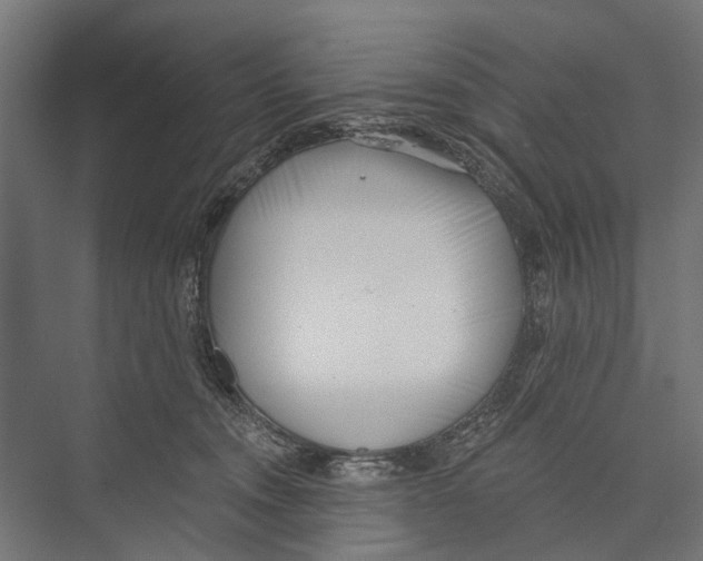 X0000075350372200610061727