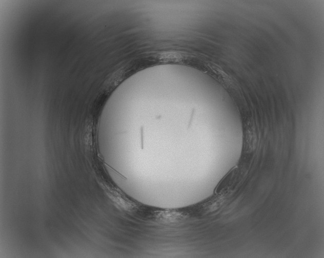 X0000075350379200610061727