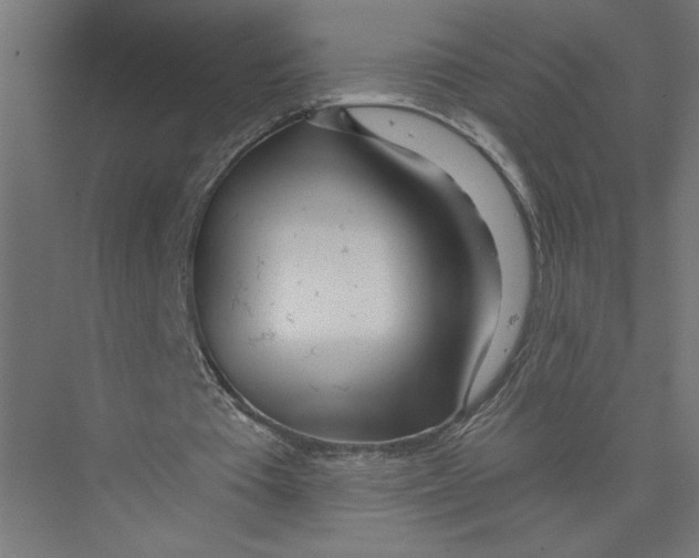 X0000075350385200610061726