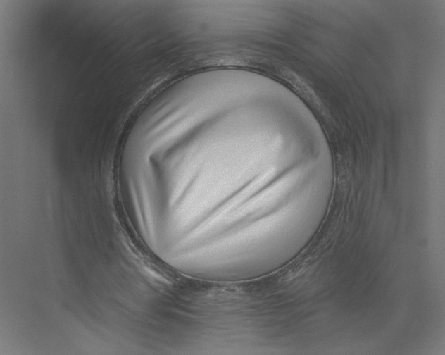 X0000075350386200610061726