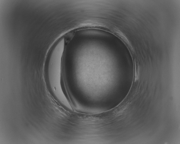 X0000075350387200610061726