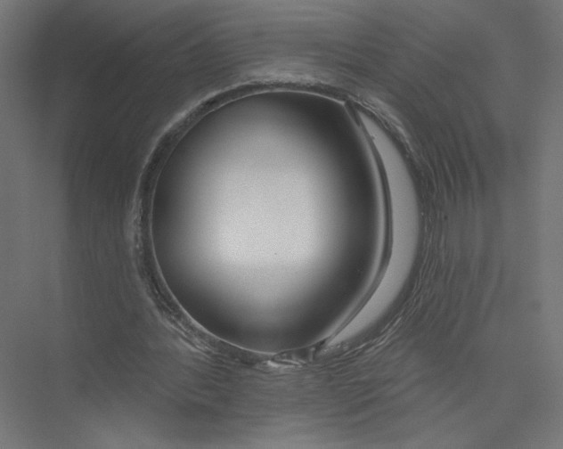 X0000075350388200610061726