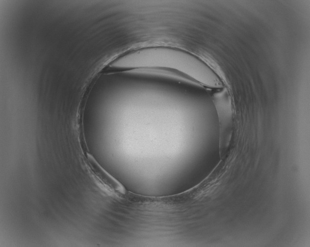X0000075350389200610061726
