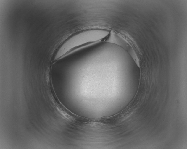 X0000075350393200610061726