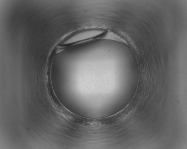 X0000075350395200610061726