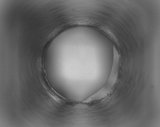 X0000075350397200610061726