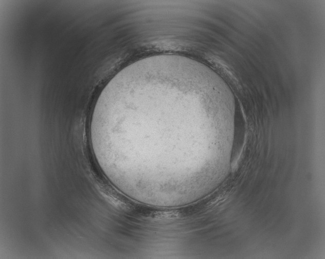 X0000075350398200610061726