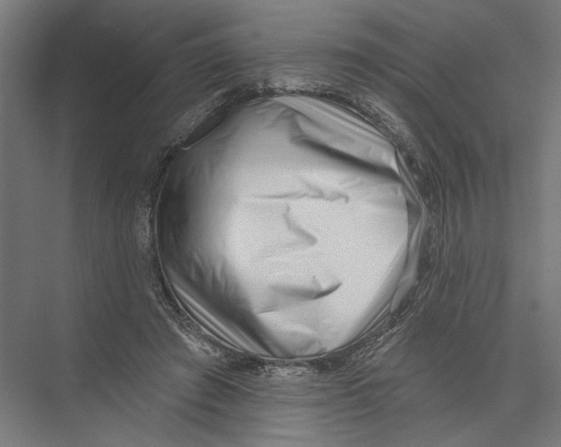 X0000075350401200610061726