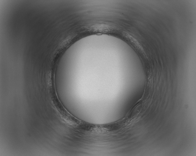 X0000075350403200610061726