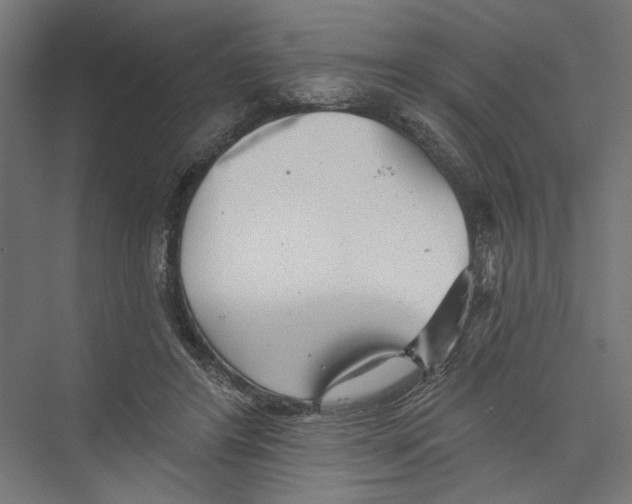 X0000075350404200610061726
