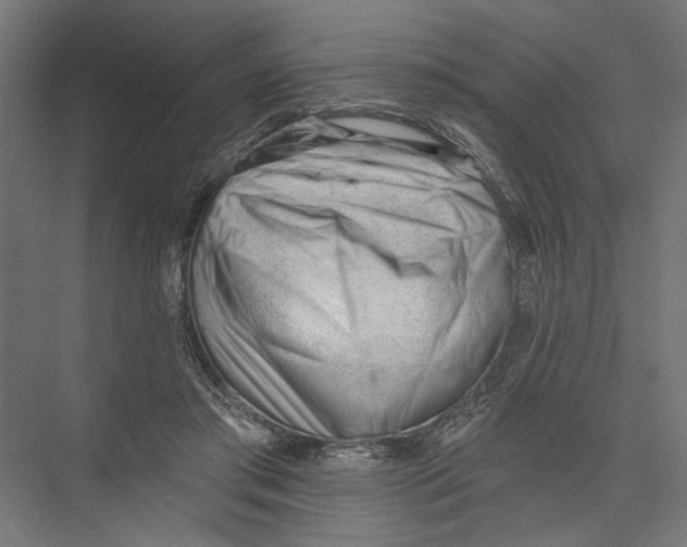 X0000075350405200610061726