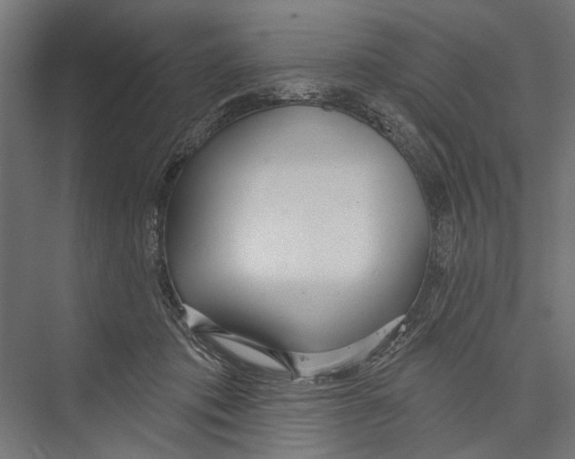 X0000075350413200610061726