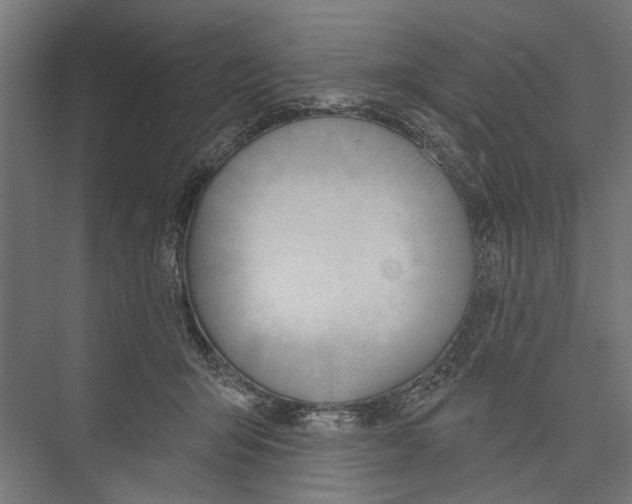 X0000075350415200610061726