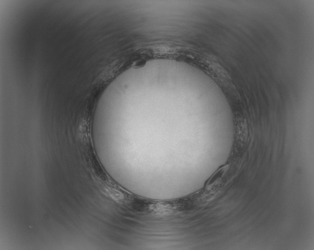 X0000075350419200610061726