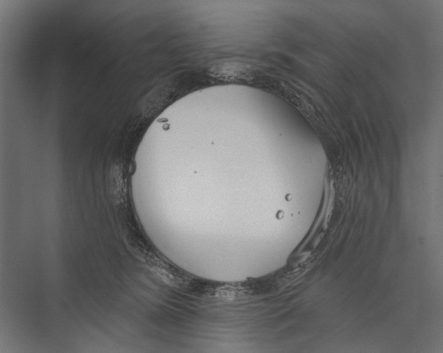 X0000075350420200610061726