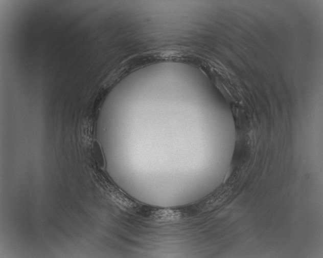 X0000075350421200610061726