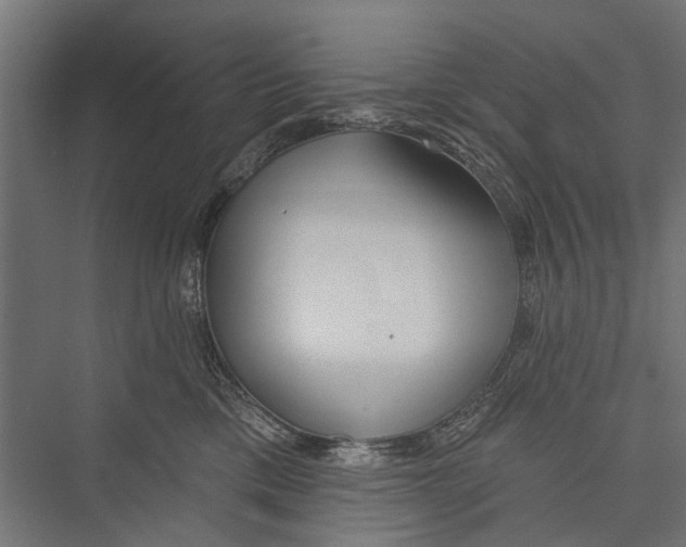X0000075350425200610061726