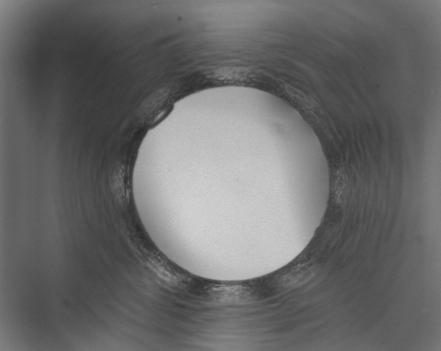 X0000075350428200610061726