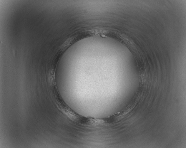 X0000075350429200610061726