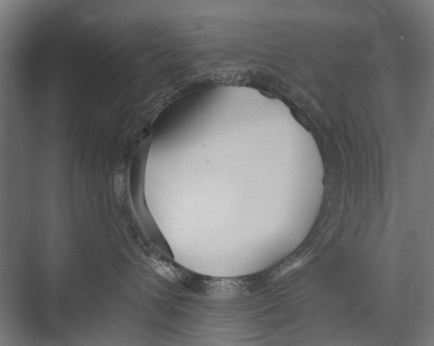 X0000075350432200610061726