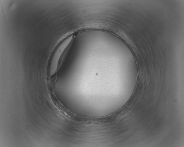 X0000075350434200610061725
