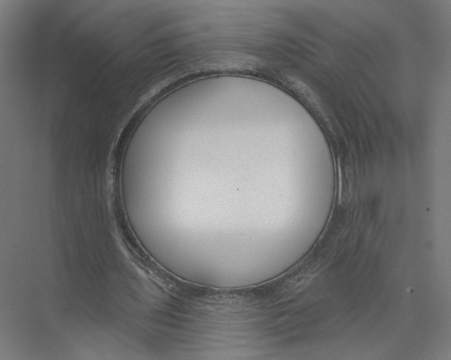 X0000075350435200610061725