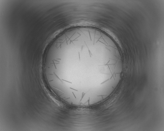 X0000075350437200610061725