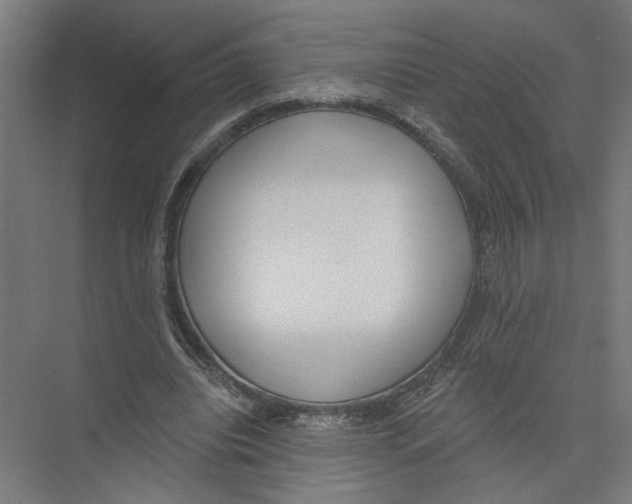 X0000075350440200610061725