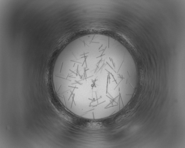 X0000075350451200610061725
