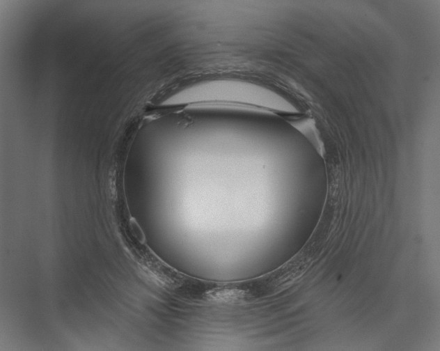X0000075350452200610061725