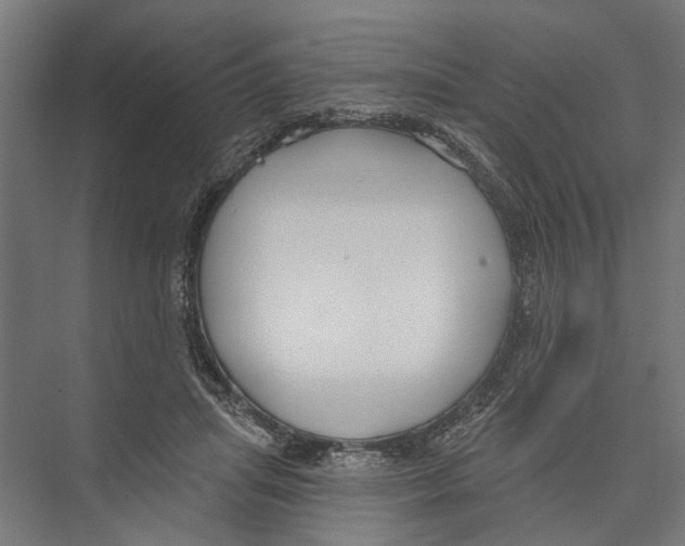 X0000075350455200610061725