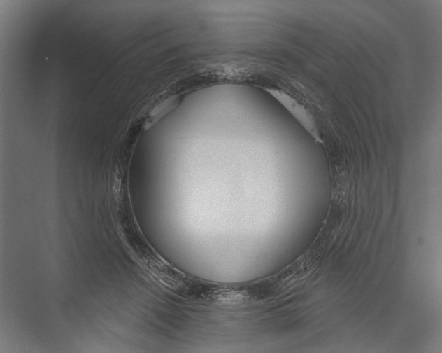 X0000075350456200610061725